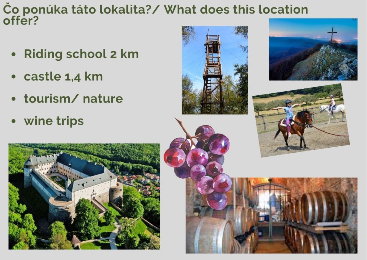 Ubytovanie pod Červeným kameňom Malé Karpaty Pila  Exterior foto